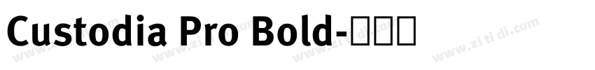 Custodia Pro Bold字体转换